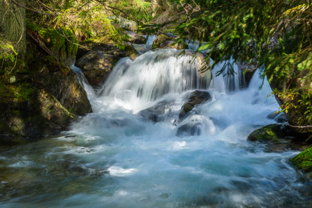 Forest stream running over mossy rocks. Beautiful landscape.Country Slovakia