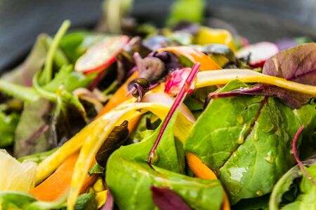 Fresh garden salad. Fresh garden salad on a plate. Fresh and healthy vegetable salad の写真素材