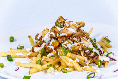 Fried french fries with pieces of turkey and onion. The food in the restaurant. Food styling and...