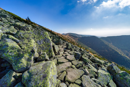 A wide panoramic view of a rocky hiking trail winding through the slopes of the Low Tatras National Park during a sunny autumn day. Beautiful yellow grass and blue skyの写真素材