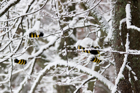 Snow on branches after snowfall, view from above.の写真素材