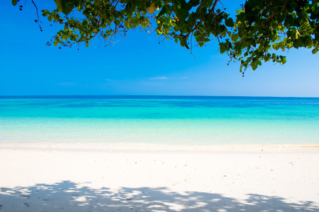 Beautiful tropical beachの写真素材