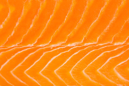 close up fresh salmon textureの写真素材