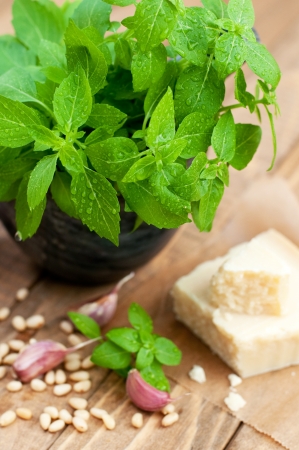 Fresh basil and parmesan for pesto sauce on wooden table, verticalの写真素材