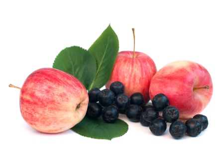 Fresh apples and chokeberry isolated on whiteの写真素材
