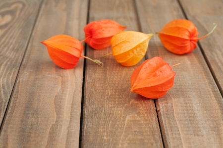 Winter cherry (Physalis alkekengi) over wooden background, selective focusの写真素材