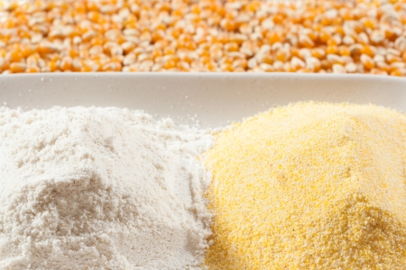 White and yellow corn flourの写真素材
