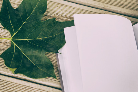 Photo leaf and book on wooden table,intentionally toned image.の写真素材