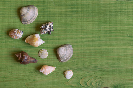 Image of  seashells on wooden table.Image is intentionally toned.の写真素材