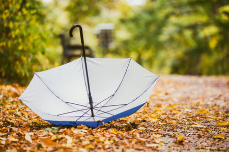 Photo of open umbrella in the park surrounded with fall leafs.
