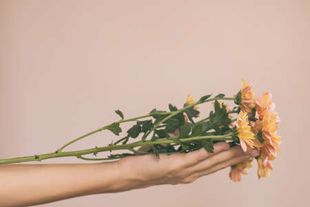 Woman holding beautiful bouquet of flowers.の写真素材