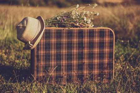 Image of  old suitcase,hat and flowers in the grass.の写真素材