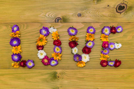 Image of word love made of beautiful flowers on wooden background.の写真素材