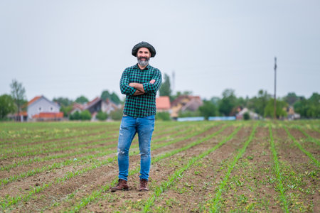 Happy farmer with digital tablet is standing in his growing corn field.の写真素材