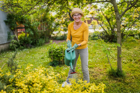 Happy senior woman enjoys watering plants in her garden.の写真素材
