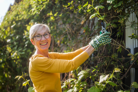 Happy senior woman gardening. She is pruning plants.の写真素材
