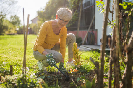 Happy senior woman gardening in her yard. She is using rake.の写真素材