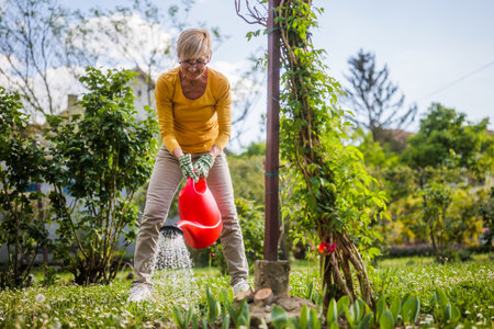 Happy senior woman enjoys watering plants in her garden.の写真素材