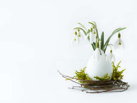 Snowdrops in a decorative egg shell.の写真素材