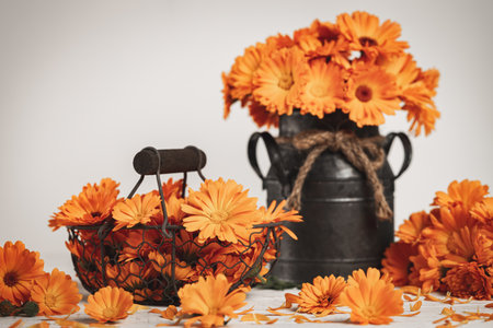 Calendula flowers in a decorative vintage style metal vaseの写真素材