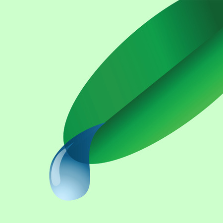 Dew drops on a leaf. Vector illustrationのイラスト素材