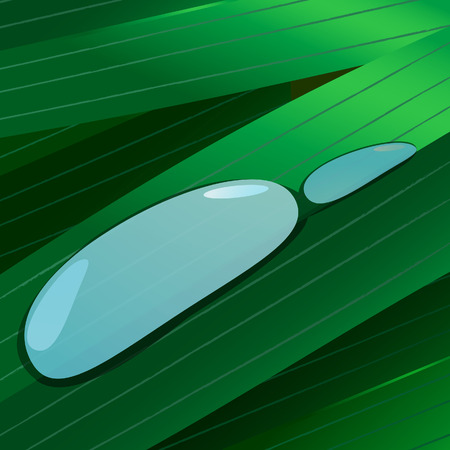 Water drops on green leaves. Vector illustrationのイラスト素材