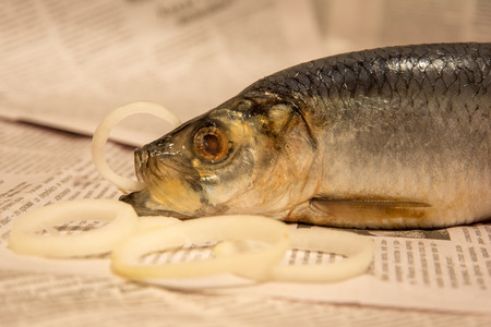 Herring with onions in his mouth.の写真素材