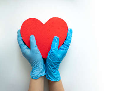Hands in medical gloves holding a red heart shape model on white background.の写真素材