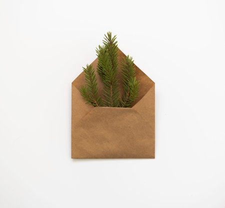 Christmas tree in an envelope for a postcard. The concept of Christmas, new year, layout with copy...