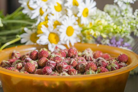 Plate with ripe strawberries on a background of daisies.の写真素材