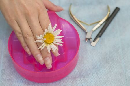 Hands are lowered into water. Preparation for manicure. Therapeutic bath for hands. Tools for manicure.の写真素材