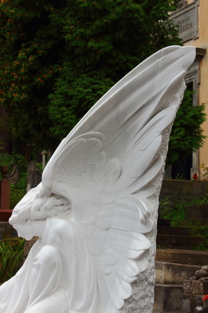 grieving angel statueの写真素材