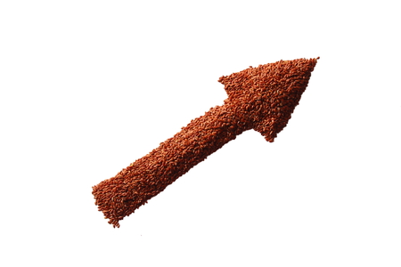 flax seed laid pointer right at an angle of 45 degreesの写真素材