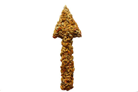 pumpkin seed laid pointer up on white backgroundの写真素材