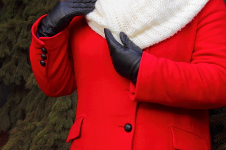 Women's top winter clothing in the form of coats, scarves, glovesの写真素材