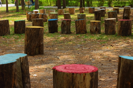 on the street are a large number of tree stumpsの写真素材