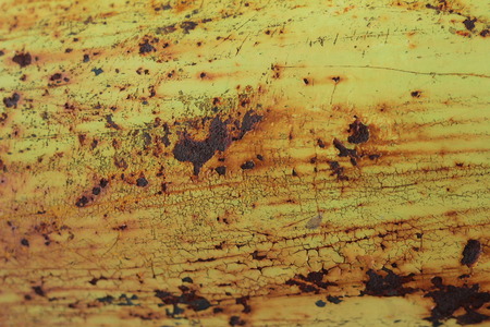 textureの写真素材