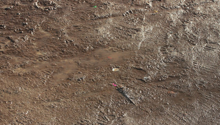 Plot on the street after the rain