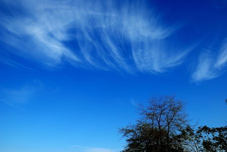 Beautiful, white, fluffy clouds against the blue sky before sunsetの写真素材