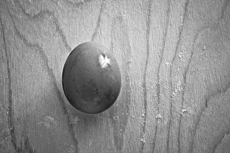 Egg.の写真素材