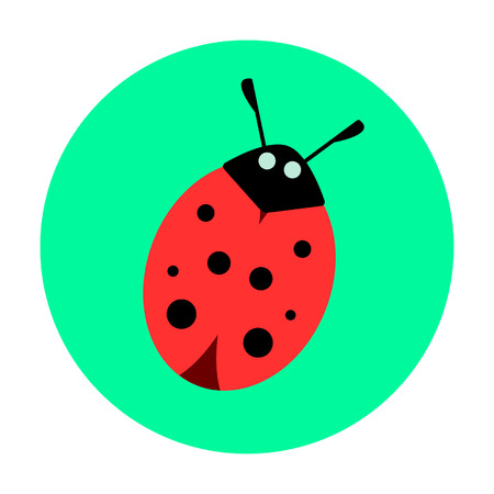 ladybug on a green background. vector illustrationのイラスト素材
