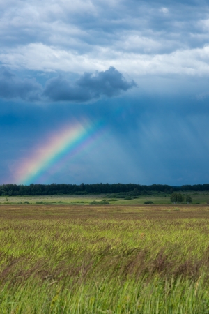 Rainbow over a field, a forest in the distanceの写真素材