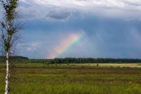 Rainbow over a field, a forest in the distanceの写真素材