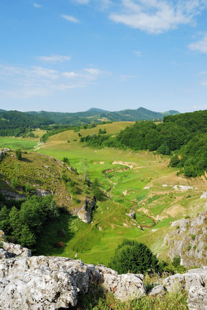 High view of a lush green valley