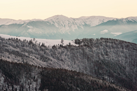 Winter landscape with white snow covered mountain ridge and forest in Romaniaの写真素材