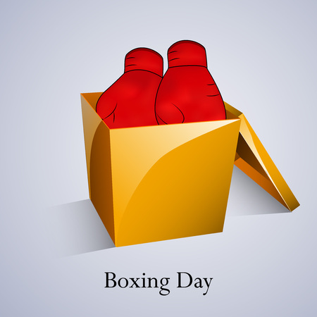 Gloves inside a box illustration.のイラスト素材