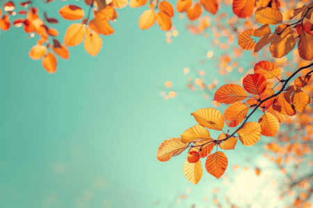 autumn leaves on blue sky background - retro vintage effect style picturesの素材