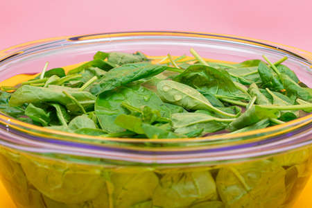 Fresh Baby Spinach Leaves in the Water in Glass Bowl on Yellow Background. Vegan and Vegetarian...