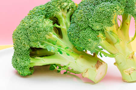 Two Fresh and Raw Pieces of Broccoli on White Plate. Uncooked Green Cabbage. Vegan and Vegetarian Culture. Raw Food. Healthy Eating and Vegetable Dietの写真素材