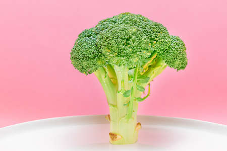Fresh and Raw Broccoli on White Dish. Uncooked Green Cabbage. Vegan and Vegetarian Culture. Raw Food. Healthy Eating and Vegetable Dietの写真素材